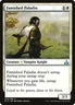 Famished Paladin #8 *Normal* (LP) - Rivals of Ixalan MTG
