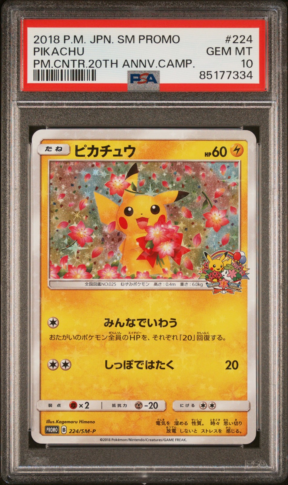 2018 POKEMON JAPANESE SM PROMO #224 PIKACHU PM.CNTR.20TH ANNV.CAMP.