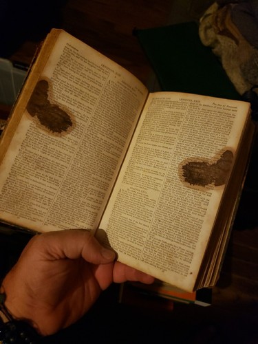 Antique 1853 THE HOLY BIBLE OLD And NEW TESTAMENTS - Picture 14 of 14