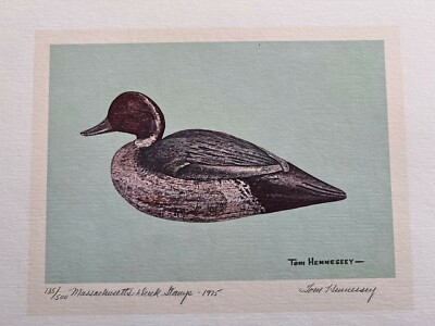 MASSACHUSETTS~1975~WATERFOWL~PINTAIL DRAKE~TOM HENNESSY~LE 500~W