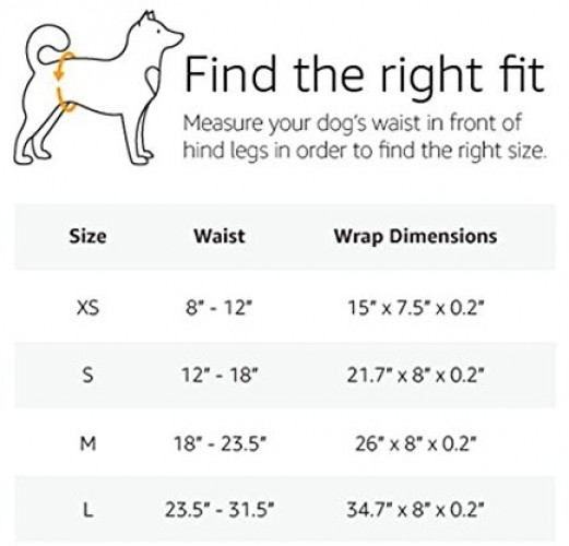 amazonbasics male dog wrap
