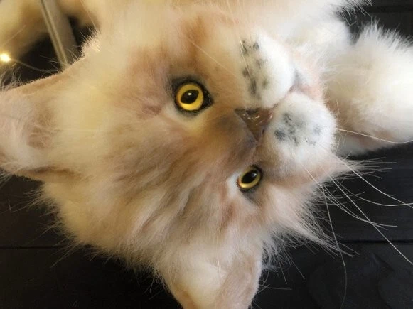 Realistic OOAK Artist Handmade cat toys Stuffed Large Plush White Teddy Kitten - Image 4 of 4