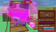 Huge Nightmare Raccoon 61.47Kg - Grow A Garden - Roblox - Fast  Easy 