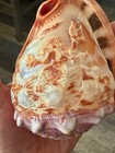 Vintage 5 1/2 inch Conch Shell, hand engraved MERMAID, exquisite detail — photo 6