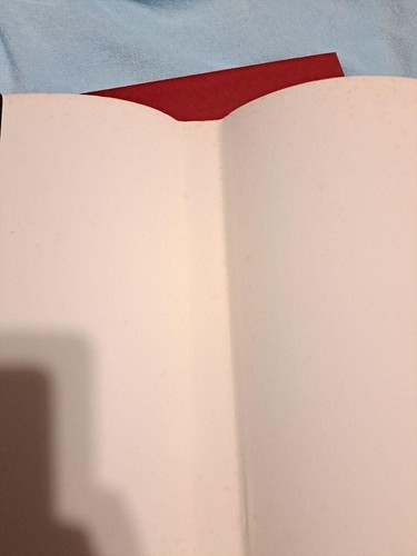 Kojima Ayami Akai Yuri Kunstbuch Santa Lilio Sangre Erstausgabe 2010 - Bild 11 von 12