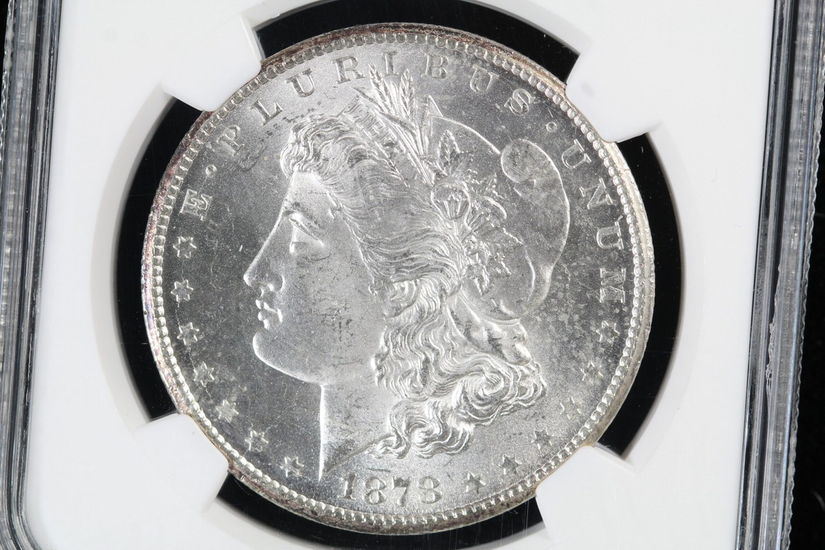 1878-CC Morgan Dollar VAM-2B Doubled LIBERTY, Die Chips NGC MS 63
