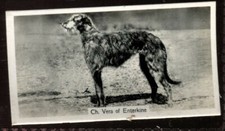 Tobacco Card, John Sinclair, CHAMPION DOGS, A Series, 1938, Deerhound, #16
