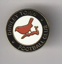 Dudley Town - lapel badge butterfly fitting