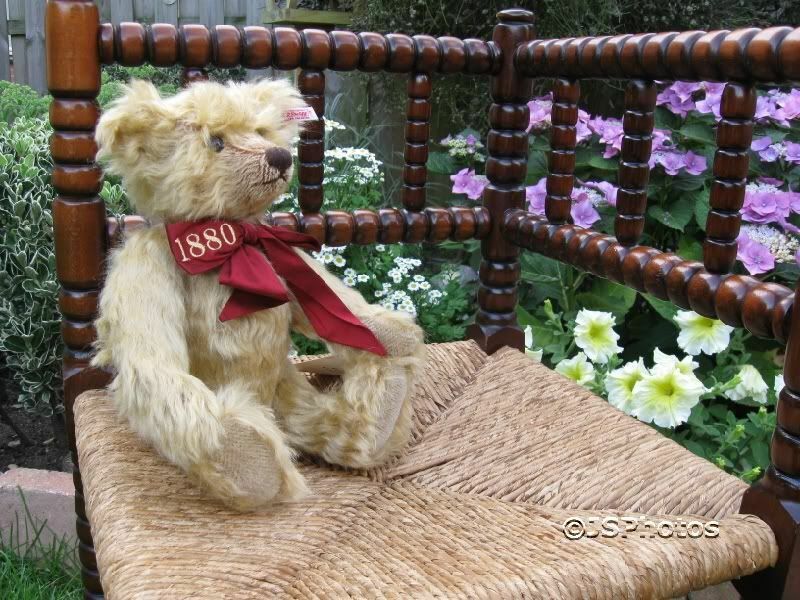 Steiff Teddy Bear Celebration 125 years 2005 038976 07067 Golden Mohair NEW - Picture 6 of 11