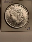Morgan 1885 O MS GEM