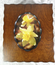 Vintage Photo-Curio Brand Picture Photo Album With Wooden Covers