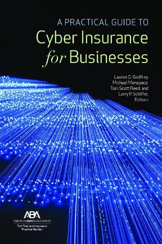 Lauren D Godfrey A Practical Guide To Cyber Insurance For Businesses (Paperback)