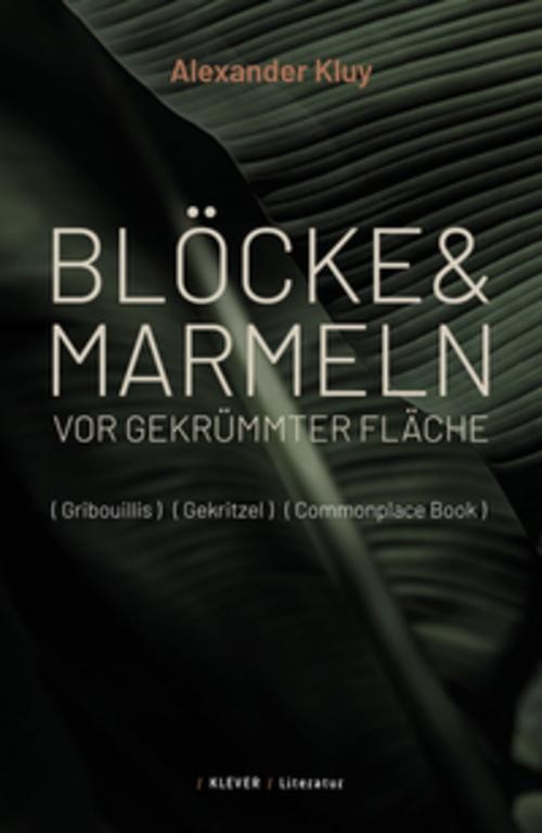 Blöcke und Marmeln vor gekrümmter Fläche Alexander Kluy