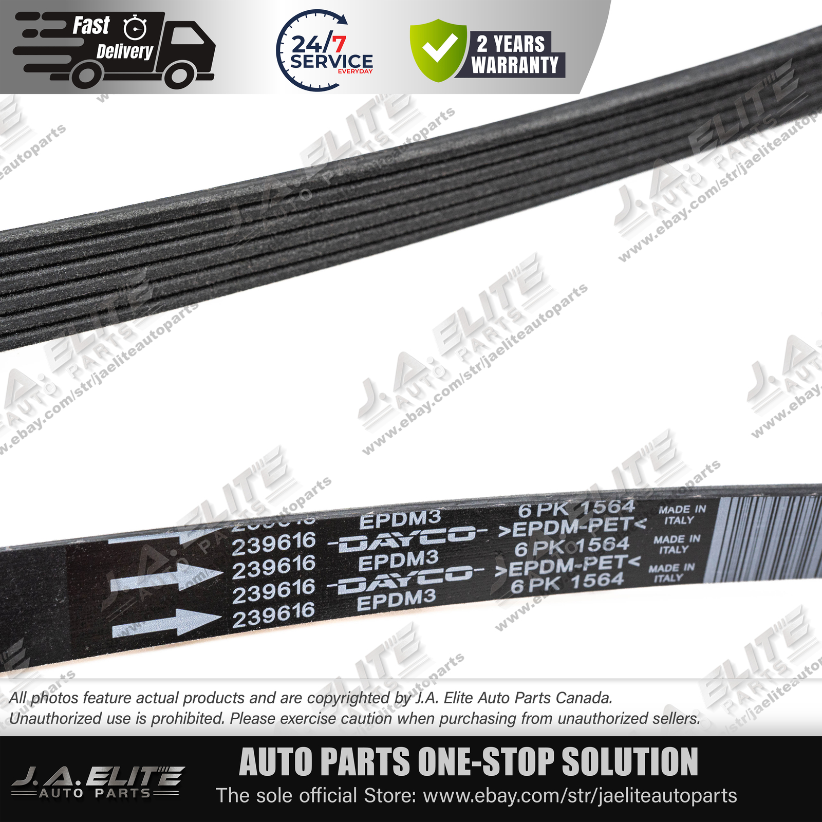New Genuine Maserati Compressor Serpentine Belt | Quattroporte, GT Part #239616