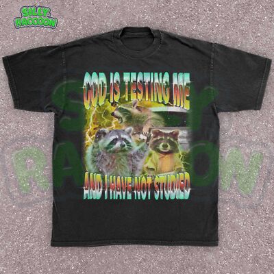Funny Raccoon Student Meme Unisex T-Shirt, God Is Testing Me Graphic Tee