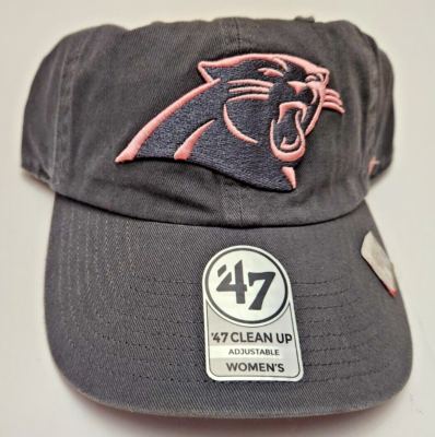 Carolina Panthers NFL 47 display picture 2