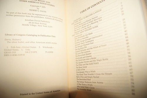 The Silver Bullet & Other American Witch Stories Hubert Davis WITCHCRAFT Vintage - Picture 7 of 10
