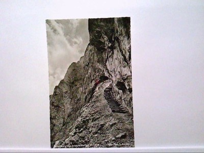 AK Schellenberg, Felsensteig zur Schellenberger Eishöhle, Panoramaansicht, Echt 