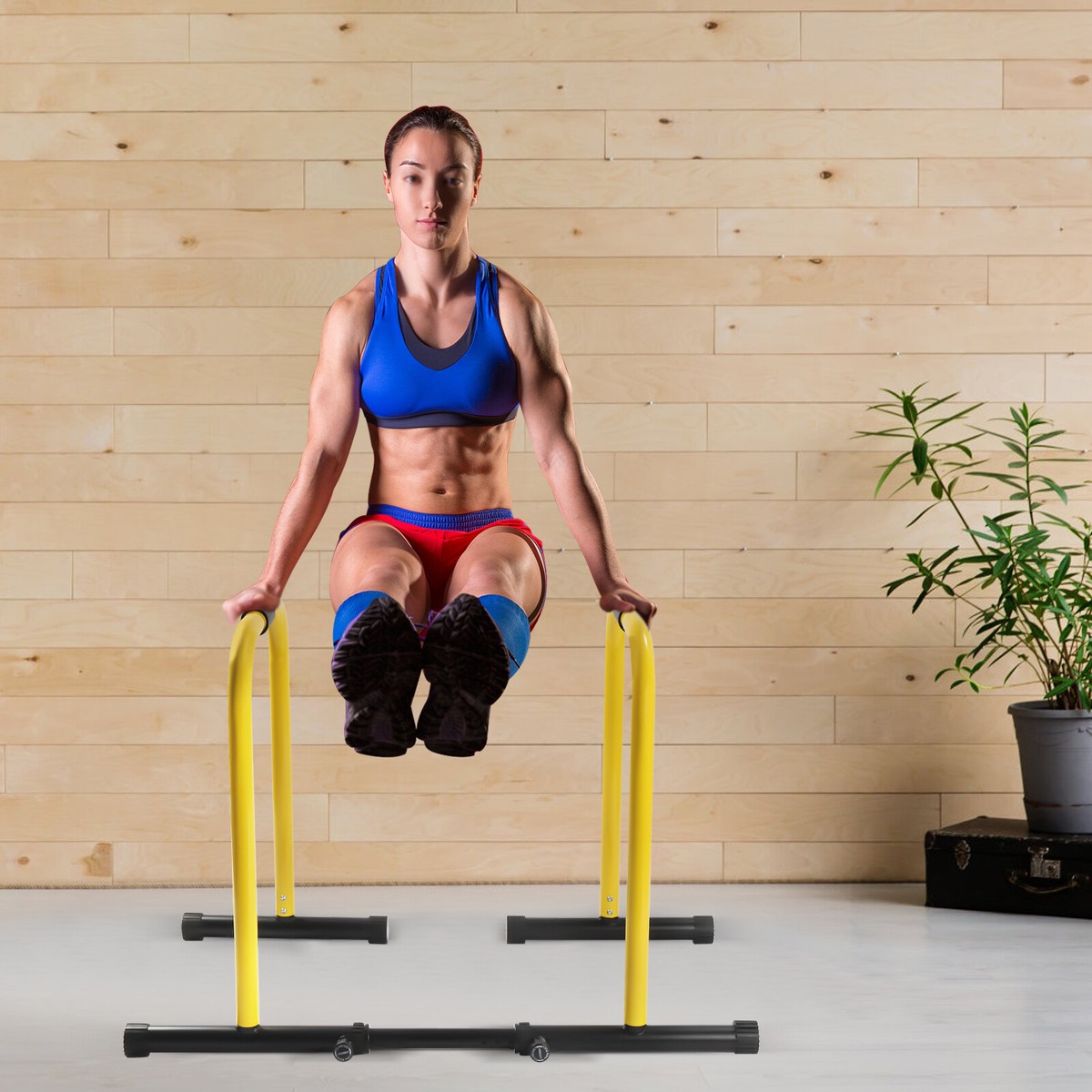 Dip Station Pull Up Parallel Bars Dip Bars Pull Up Bar Parallel