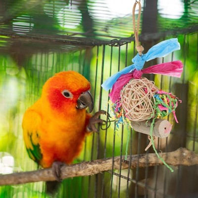 Vogel-kauspielzeug Für Papageien Zum Schleifen Von Vogelschnäbeln Bird