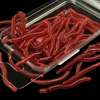 Fishing Worm Bait