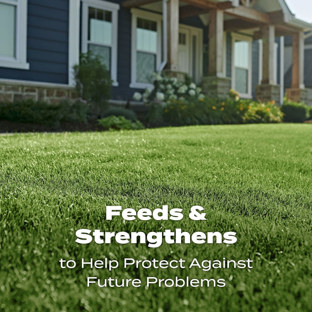 Scotts Turf Builder Lawn Food - 12.5 Lb Bag, Covers 5,000 Sq Ft, For Northern Lawns