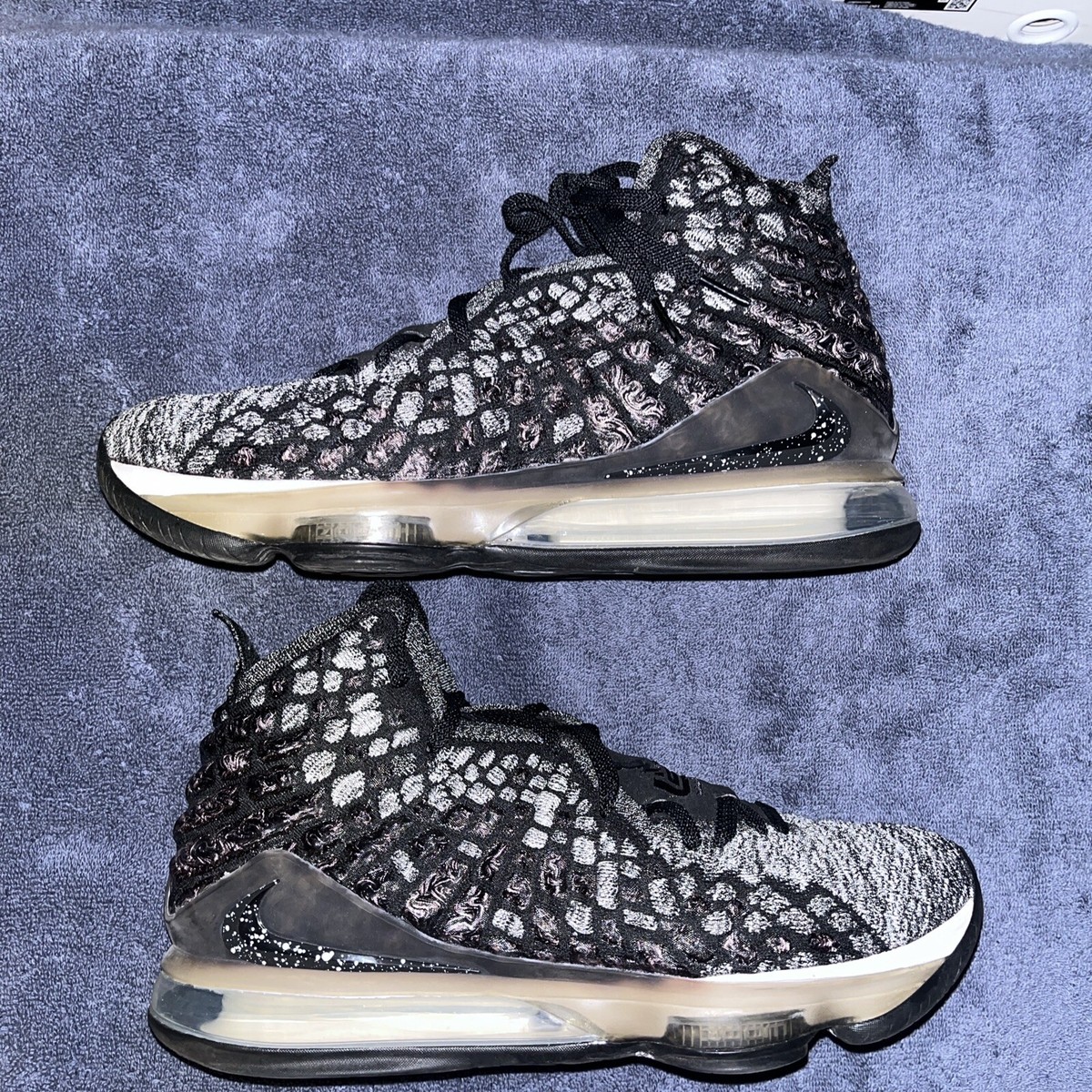 Size 11 Nike LeBron 17 In The Arena