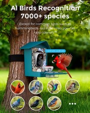 Solar Smart Bird Feeder Camera Bird Feeder Cam AI Bird Species Identification