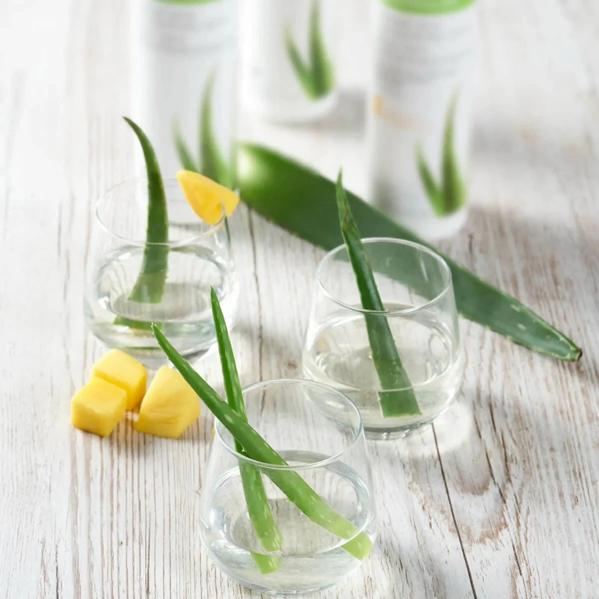 herbalife Aloe concentrate (5 flavours) - Pint Or Half Gallon - Express  Delivery | eBay