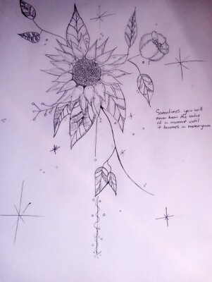 drawings