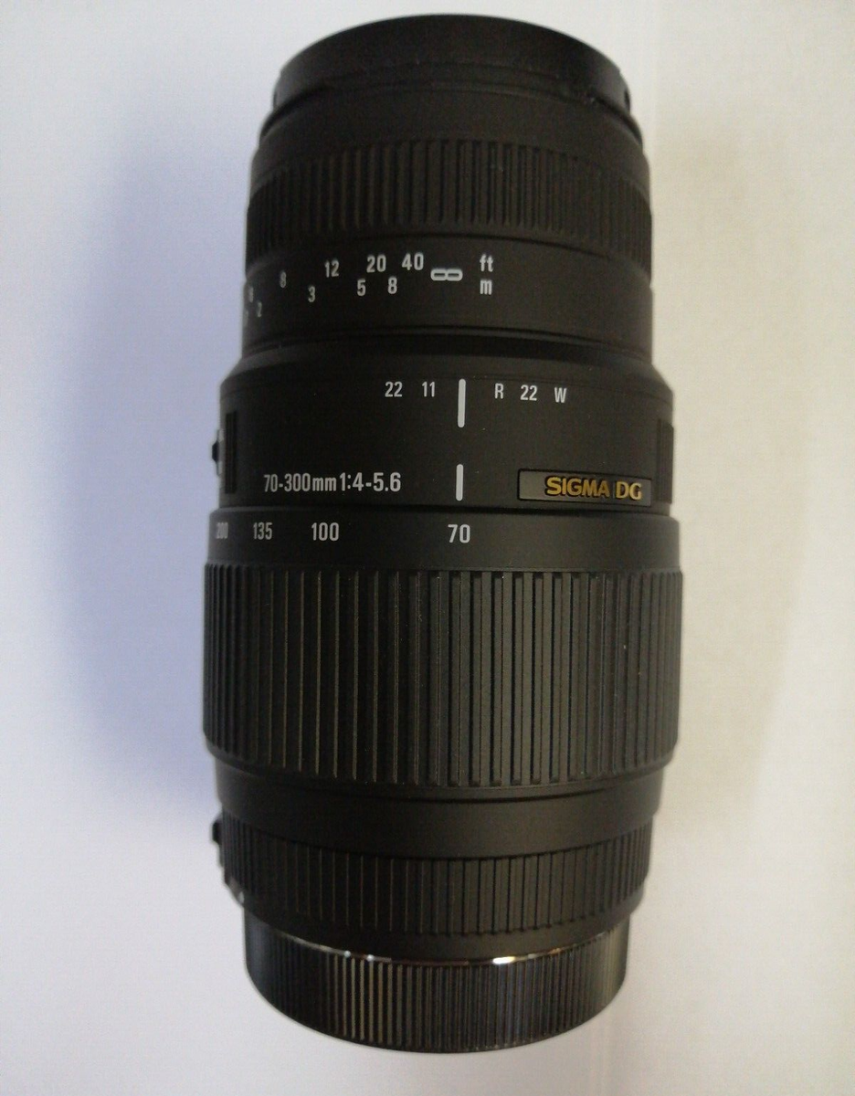 SIGMA 70-300mm F4-5.6 APO DG 【キヤノンEF】 Sigma 70-300mm f/4-5.6 APO DG Macro review | TechRadar