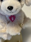 Bild 5 von 6
