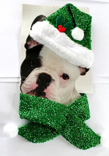 Deguisement pour PETIT CHIEN ou CHAT ; bonnet+écharpe ; VERT ; TAILLE S/M