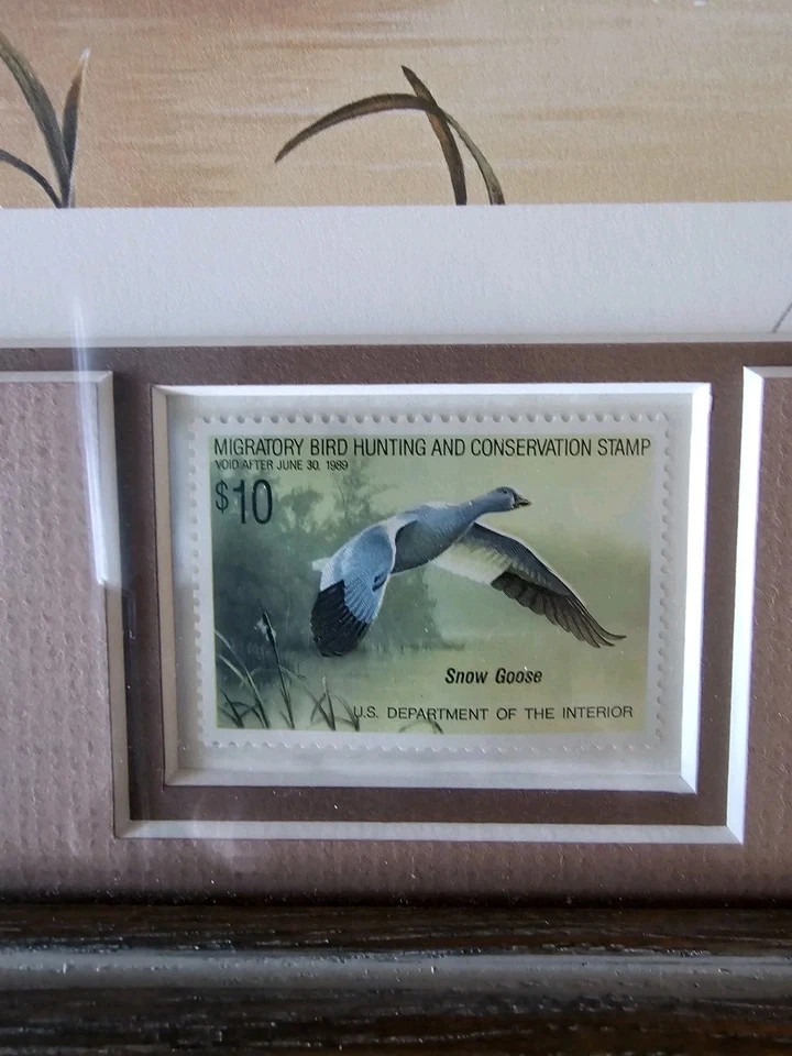 1987 Signed framed art including Snow Goose Stamp Daniel Smith - Image 2 of 4