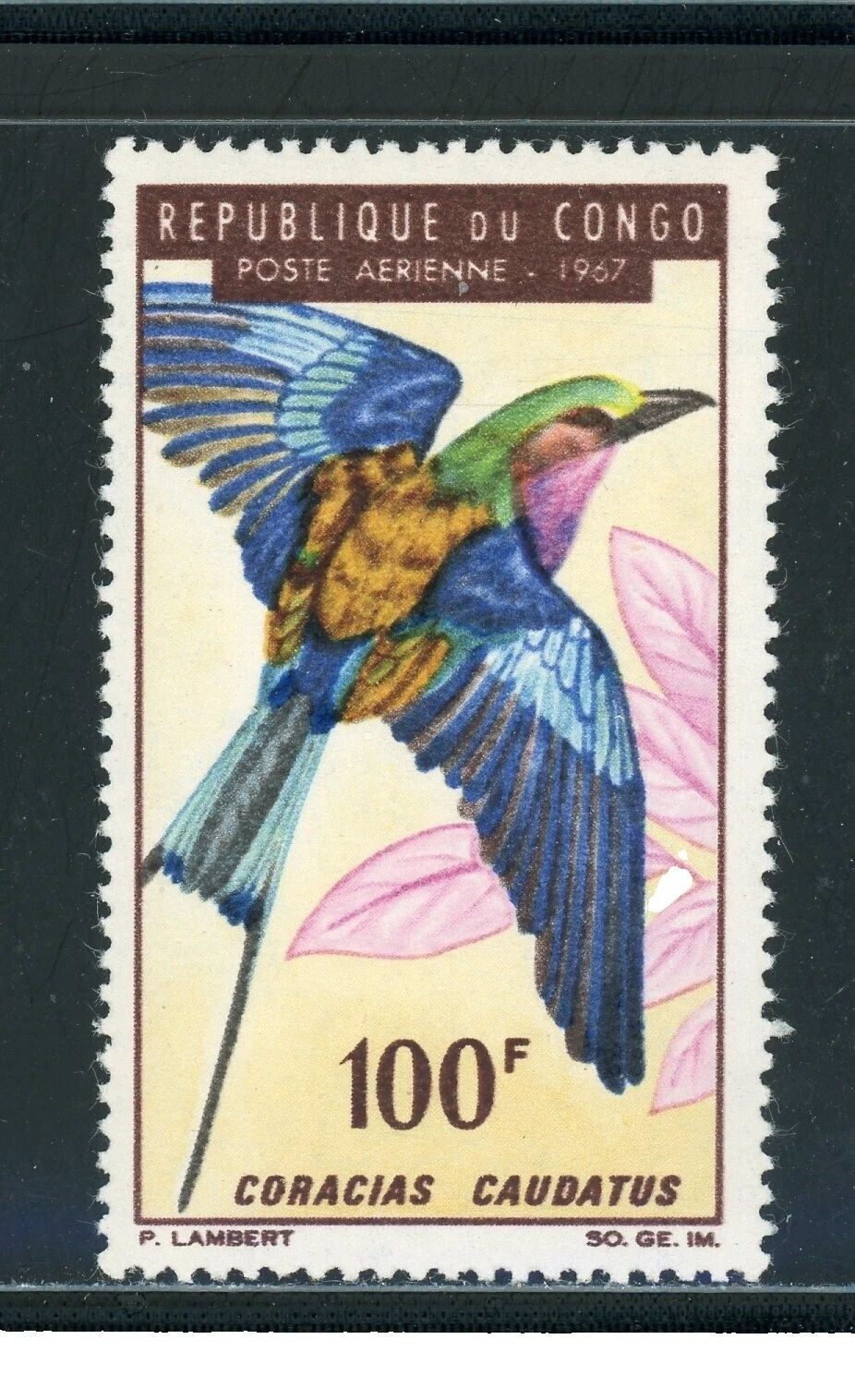 En excelente estado nunca abisagrado/estampillada sin montar o nunca montada Aves estampillas del Congo