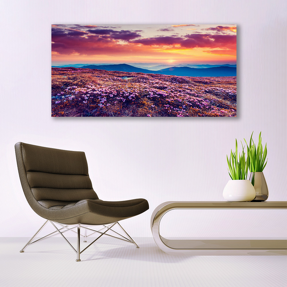 Tableau plexiglas 140x70 prairie et montagnes impression grand format nature - 2