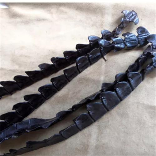 2pcs Genuine Real Alligator Crocodile Skin Leather Hide Pelts DIY Accessories - Picture 15 of 18