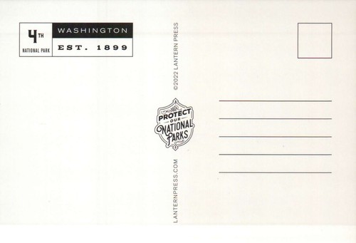 Mount Rainier National Park Washington, 4th NP Est. 1899 WA --- Modern Postcard - Picture 2 of 2
