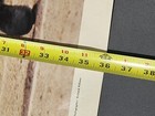 Foto 12 di 13