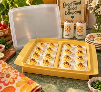 Vintage Tupperware Deviled Egg Tray w/ Snap Lid 