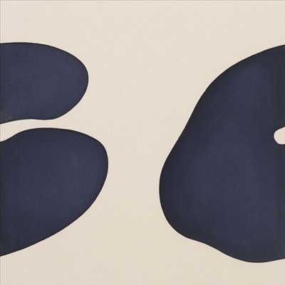 THE FIFTY ELEVEN PROJECT [10/19] * NEW VINYL