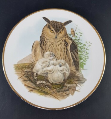 Finsbury Eagle Owl John Gould 1804-1881. Sammlerstück Vogel Teller, Goldrand 