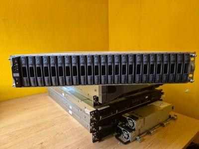 netapp ds2246