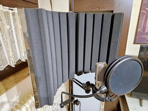 Fame USB Mikrofon 