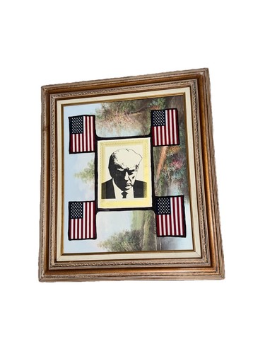 C. B. FLEMING B1962. DONALD TRUMP 45 & 47th PRESIDENT. VINTAGE FRAME 25”x29” - 第 3/15 張圖片