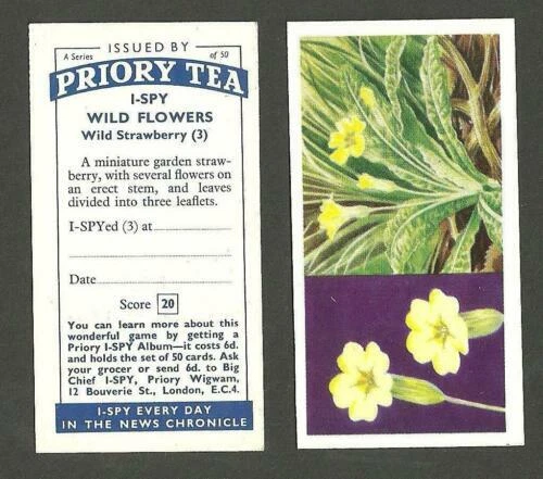 Flowers/Garden UK Issue Collectable Tea Cards