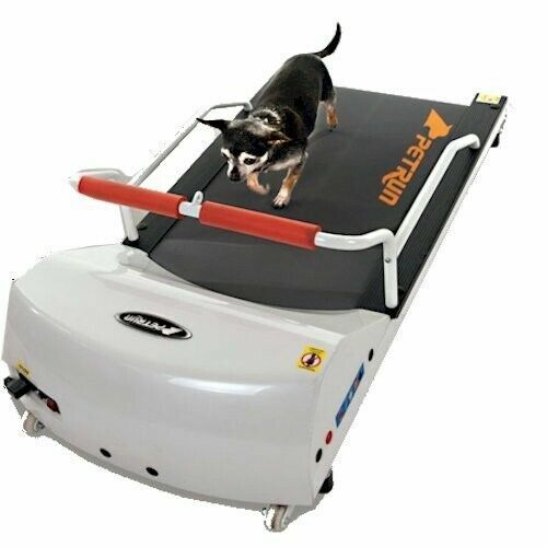 dog treadmill
