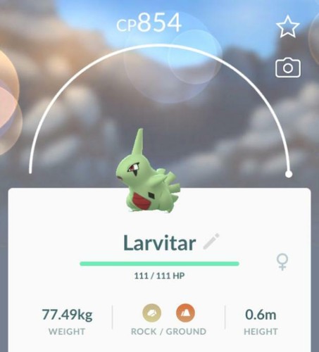 Pokemon Go Level 34 Larvitar Lots Candies And Stardust Saved Fast Delivery Ebay