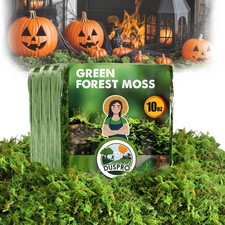 Green Forest Moss Real Dried Decorative Craft Alternative 10 oz