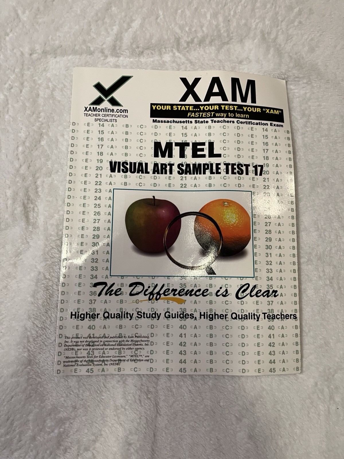 MTEL Visual Art Sample Test 17 Teacher Certification Test Prep Study Guide (XAM